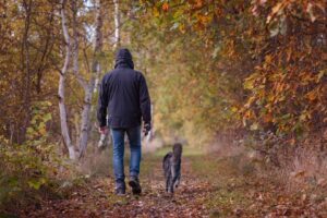 Free Autumn Walk Fall photo and picture