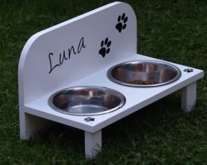 Free Dog Bowl Feed photo and picture