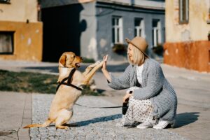 Free Girl Dog photo and picture