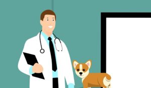 Free Vet Doctor illustration and picture